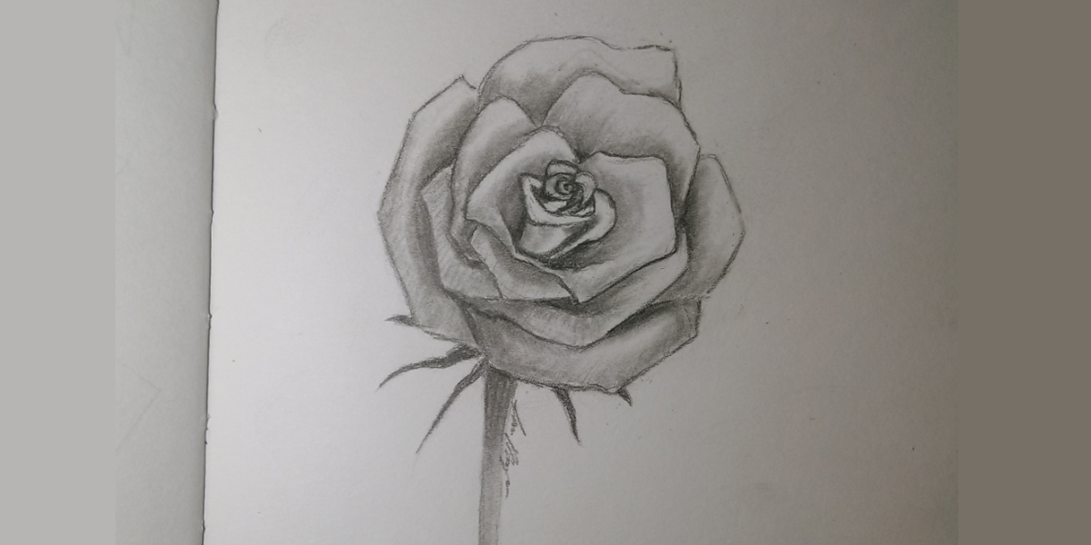 Easy Rose and stem drawing