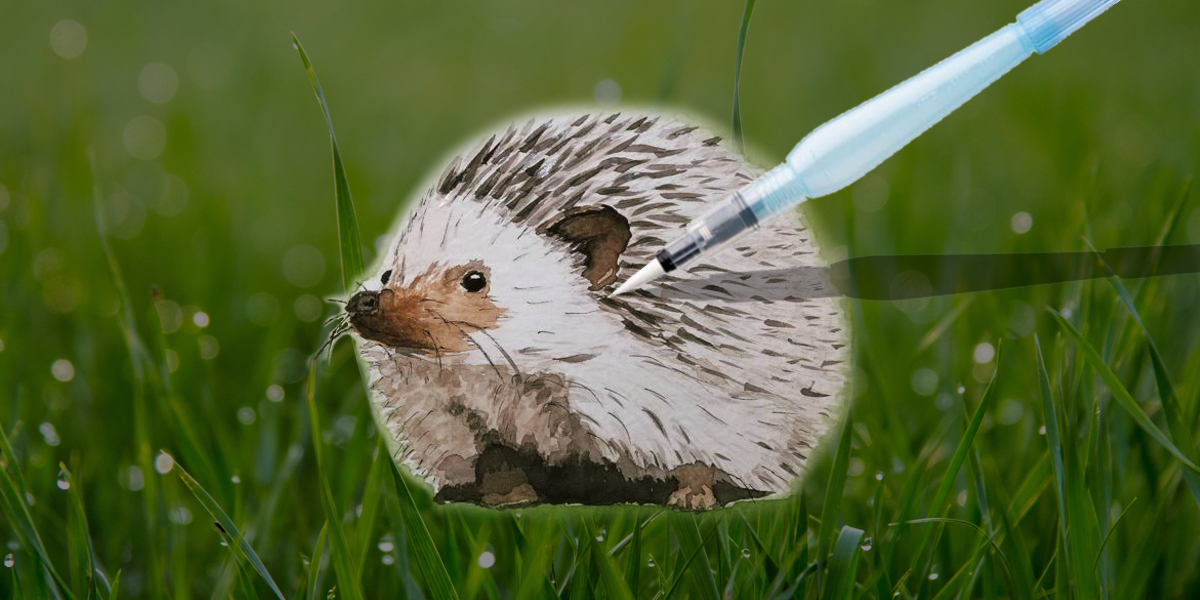 A watercolor hedgehog being painted with an Aquash water prush