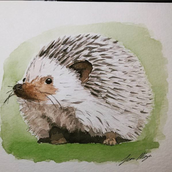 Cute and Realistic Hedgehog Watercolor Painting