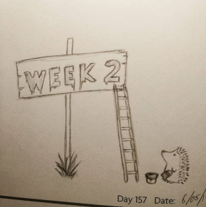 Cute pencil drawing of a hedgehog with a paintbrush next to a tall sign and ladder with the words "Week 2"