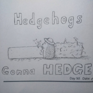 Cute pencil drawing of a hedgehog in a sun hat trimming hedges and text that says "Hedgehogs Gonna Hedge"