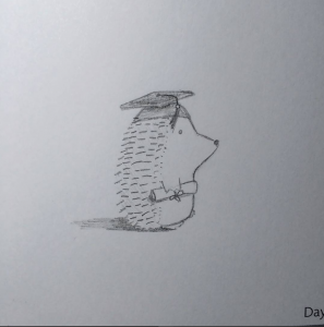 Cute pencil drawing of a hedgehog with a graduation cap on